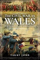 Civil War in Wales, The: The Scouring of the Nation