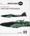 Ilyushin Il-2, Spotlight on