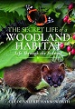 The Secret Life of a Woodland Habitat