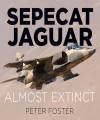 Sepecat Jaguar - Almost Extinct. 