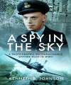 Spy in the Sky, A